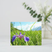 Wild Iris en het landschap van Alaskan Briefkaart (Staand voorkant)