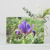 Wild Iris Feestdagenkaart (Staand voorkant)