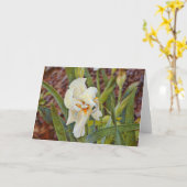 Wild Iris Flower Art Kaart (Gele Bloem)