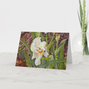 Wild Iris Flower Art Kaart