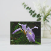 Wild Iris Flower Paars Floral Briefkaart (Staand voorkant)