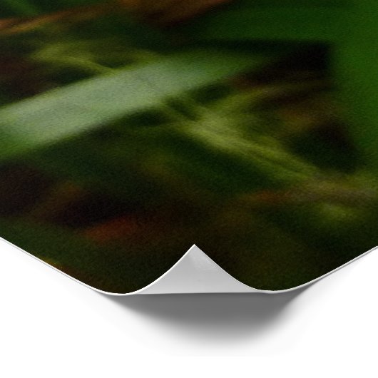 Wild Iris Flower Paars Floral Poster (Hoek)