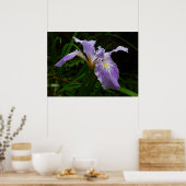 Wild Iris Flower Paars Floral Poster (Keuken)