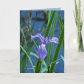 Wild Iris Kaart (Voorkant)