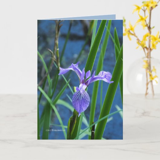 Wild Iris Kaart (Gele Bloem)
