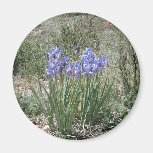 Wild Iris Magneet