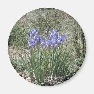 Wild Iris Magneet