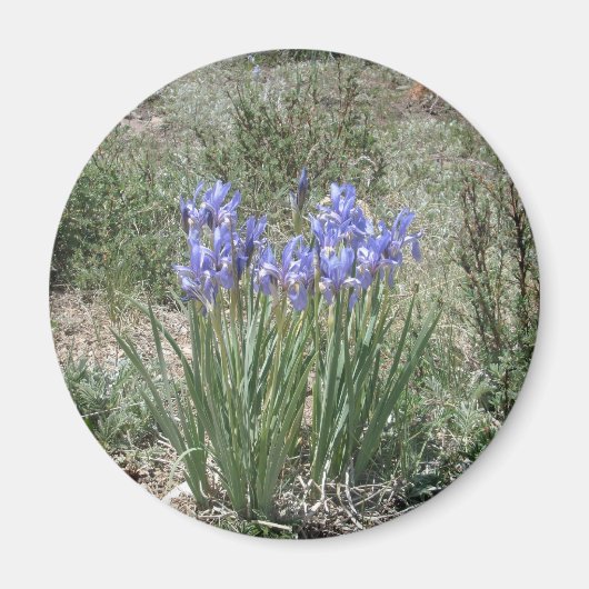 Wild Iris Magneet (Voorkant)