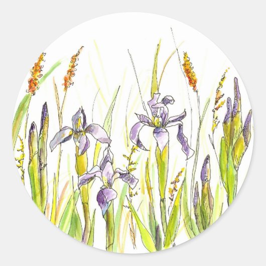 Wild Iris Paarse Wildflower Waterverf Schets Ronde Sticker (Voorkant)