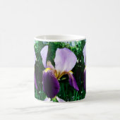 Wild Iris Photo Mok (Center)