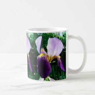 Wild Iris Photo Mok