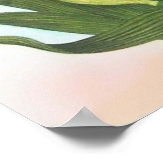 Wild Irise Poster (Hoek)