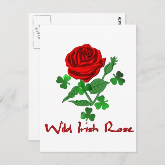 Wild Irish Roos Briefkaart (Voorkant / Achterkant)