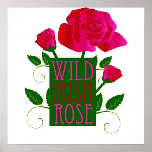 Wild Irish Roos Poster (Voorkant)