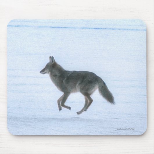 Wild Jackal Coyote Crossing Frozen Lake in de wint Muismat (Voorkant)