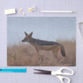 Wild Jackal Tissuepapier (Craft)