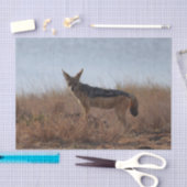 Wild Jackal Tissuepapier (Craft)