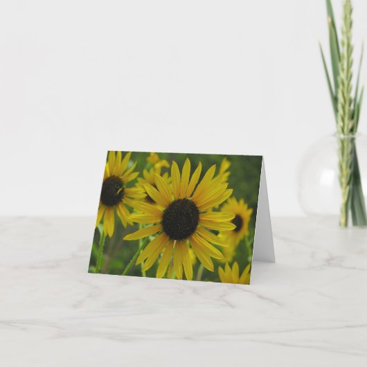 Wild kaart van de Nota van Zonnebloemen/Wenskaart (Voorkant)