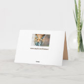 wild kattenwenskaart kaart (Achterkant)