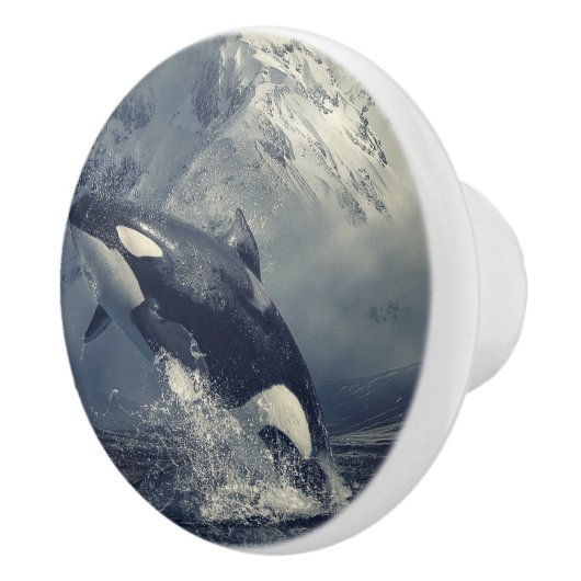 Wild Killer Whale Jumping Keramische Knop (Rechts)