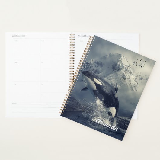 Wild Killer Whale Jumping Planner (Display)