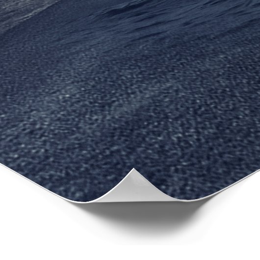 Wild Killer Whale Jumping Poster (Hoek)