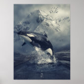 Wild Killer Whale Jumping Poster (Voorkant)