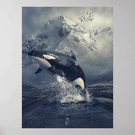 Wild Killer Whale Jumping Poster (Voorkant)