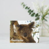 Wild koala slaapt op eucalyptusboom, Australië Briefkaart (Staand voorkant)