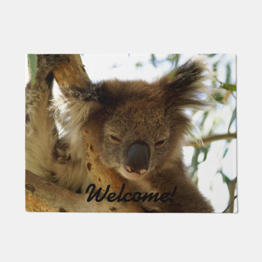 Wild koala slaapt op eucalyptusboom, Foto Deurmat (Voorkant)