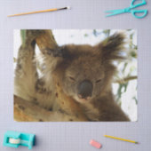 Wild koala slaapt op eucalyptusboom, Foto Tissuepapier (Craft)