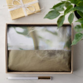 Wild koala slaapt op eucalyptusboom, Foto Tissuepapier (Geschenk)