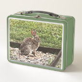 Wild Konijn bij de tuin, lunchboxen (Voorkant)