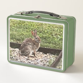 Wild Konijn bij de tuin, lunchboxen