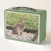 Wild Konijn bij de tuin, lunchboxen (Achterkant)