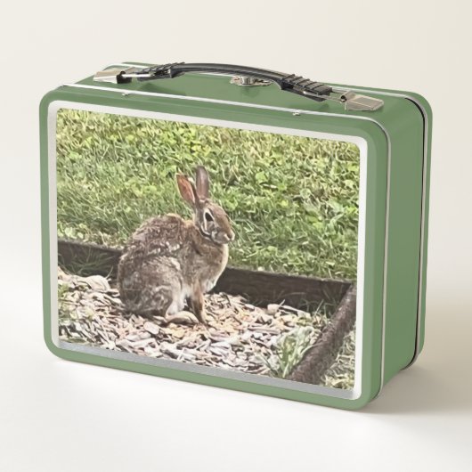 Wild Konijn bij de tuin, lunchboxen (Achterkant)