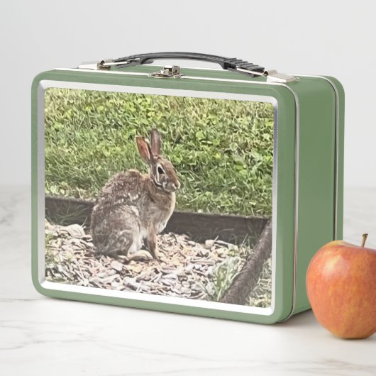 Wild Konijn bij de tuin, lunchboxen (In situ)