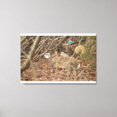 Wild Konijn in onderborstel Canvas Afdruk (Voorkant)