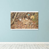 Wild Konijn in onderborstel Canvas Afdruk (Insitu (Houten vloer))