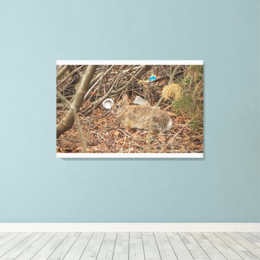 Wild Konijn in onderborstel Canvas Afdruk (Insitu (Houten vloer))