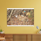 Wild Konijn in onderborstel Canvas Afdruk (Insitu (Woonkamer))