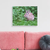 wild konijn konijn konijn foto canvas afdruk (Insitu (Woonkamer))