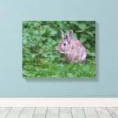 wild konijn konijn konijn foto canvas afdruk (Insitu (Houten vloer))