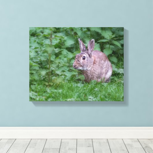 wild konijn konijn konijn foto canvas afdruk (Insitu (Houten vloer))