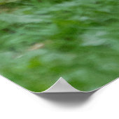 wild konijnenkopiefotograaf poster (Hoek)