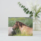 wild konik horse briefkaart (Staand voorkant)