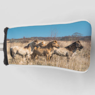 Wild Konik ponies Wicken Fen Cambridgeshire Vereni Golfheadcover