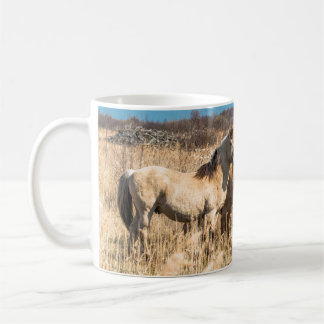 Wild Konik ponies Wicken Fen Cambridgeshire Vereni Koffiemok