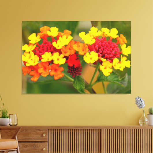 WILD LANTANA 32x48 Canvas Afdruk (Insitu (Woonkamer))