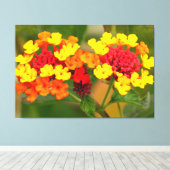 WILD LANTANA 32x48 Canvas Afdruk (Insitu (Houten vloer))